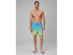 Pánské plážové boardshortky 4F 4FWSS26UBDSM168-33S 3