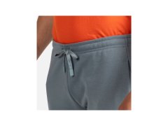 Pánské kalhoty ROSSIGNOL Presset Pant, modré 5