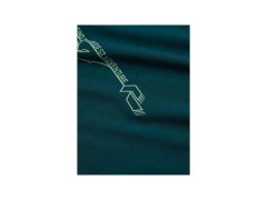 Pánské tričko PEAK PERFORMANCE M Wool-Blend Shortsleeve, zelené 3