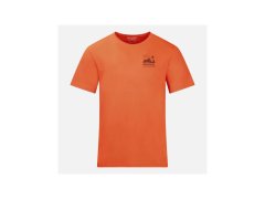 Pánské tričko ROSSIGNOL M Graphic Active Tee, oranžové 5