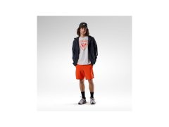 Pánské tričko ROSSIGNOL Cliffside Tee, šedé 4