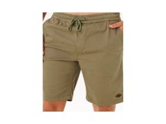 Pánské šortky RIP CURL Classic Surf Volley, zelené 2