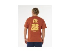 Pánské tričko RIP CURL Pacific Rinse Glass Off Tee, hnědé 1