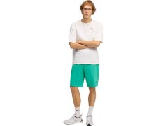 Pánské šortky Puma ESS No.1 Logo 10" (s) zelené 682595 40 4