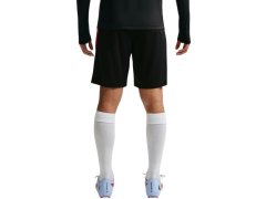 Pánské šortky Nike Dri-FIT PSG, černé, II2611 010 1