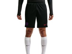 Pánské šortky Nike Dri-FIT PSG, černé, II2611 010 2