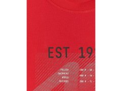 Pánské tričko s potiskem, regular střih, 4F 4FRSS26TTSHM4039-62S 5