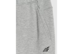 Pánské joggerové tepláky 4F 4FRMM00TTROM1625-27M 8