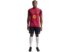 Pánské tričko Nike FC Barcelona vínové II1839 621 5