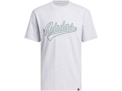 Pánské tričko adidas Varsity Tailsweep Graphic, šedé, KS2179 1