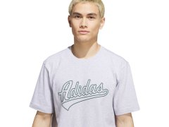 Pánské tričko adidas Varsity Tailsweep Graphic, šedé, KS2179 3