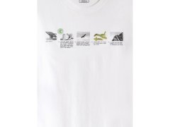 Pánské tričko s potiskem, regular střih, 4F 4FKAW26TTSHM4476-10S 5