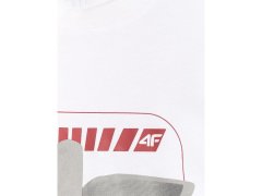 Pánské tričko s&nbsp;potiskem, regular střih, 4F 4FRAW25TTSHM3612-10S 7