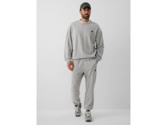 Pánské joggerové tepláky 4F 4FRAW26TTROM2176-27M 2