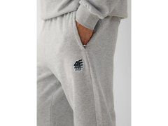 Pánské joggerové tepláky 4F 4FRAW26TTROM2176-27M 3