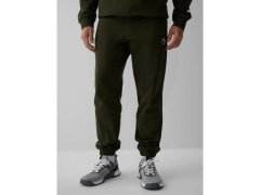 Kalhoty teplákové jogger kalhoty pánské 4F 4FRAW26TTROM2092-43S 4