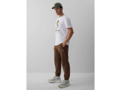 Kalhoty teplákové jogger kalhoty pánské 4F 4FRAW26TTROM2092-81S 3