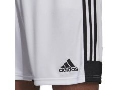 Šortky adidas Tastigo 19 M DP3247 1
