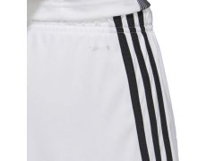 Šortky adidas Tastigo 19 M DP3247 2