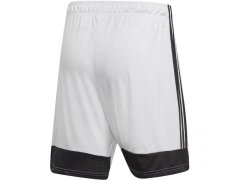 Šortky adidas Tastigo 19 M DP3247 4