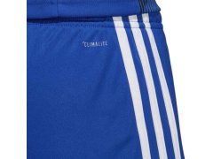 Adidas Tastigo 19 Šortky M DP3682 1