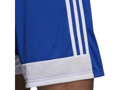 Adidas Tastigo 19 Šortky M DP3682 8