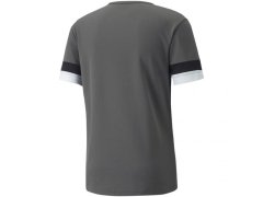 Pánské boty teamRISE Smoked M 704932 13 - Puma 1