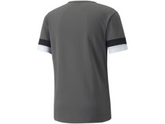 Pánské boty teamRISE Smoked M 704932 13 - Puma 3