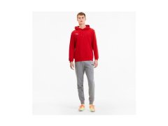 Pánské boty TeamGoal 23 Casuals M 656580-01 - Puma 1