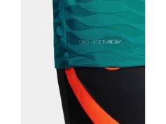 Pánské boty Chelsea FC Elite M DB6876 472 - Nike 4