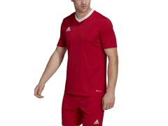Pánské tričko Entrada 22 M H61736 - Adidas 1