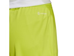 Pánské šortky Entrada 22 M HC5061 - Adidas 2