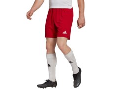 Pánské šortky Entrada 22 M H61735 - Adidas 3