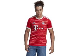 Tričko adidas FC Bayern H Jsy M H39900 pánské 1