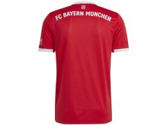 Tričko adidas FC Bayern H Jsy M H39900 pánské 4
