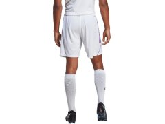 Pánské šortky Tiro 23 League M IC7487 - Adidas 1