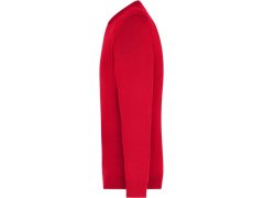 Daiber JN 659 Pánský svetr s výstřihem do V 02.0659 red 3