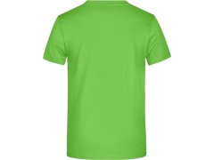 Daiber JN 790 Pánské těžké tričko 02.0790 lime green 5