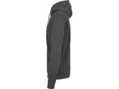 Build your Brand BB 008 Pánská mikina s kapucí 56.B008 charcoal 3