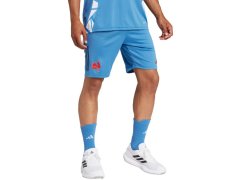 Pánské šortky adidas France Gym, modré, JC7182