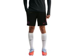 Pánské šortky Nike Dri-FIT PSG, černé, II2611 010