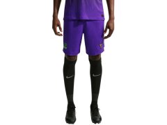 Pánské šortky Nike FC Barcelona Match 2026/27 fialové II1900 504