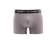 Flex Trunk UM0UM02411-PTM - Tommy Hilfiger