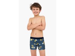 BOXERKY BOY YOUNG 700 W/26
