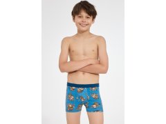 BOXERKY BOY YOUNG 700 J/26
