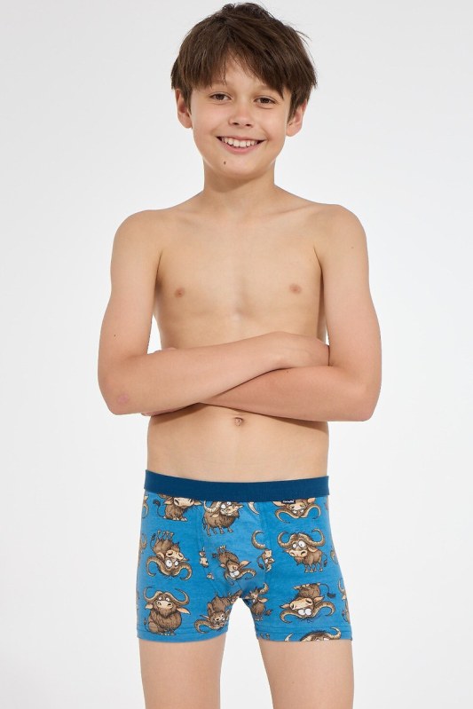 BOXERKY BOY YOUNG 700 J/26