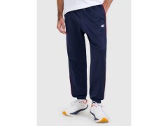Pánské tepláky typu jogger 4F 4FRAW25TTROM1611-31S