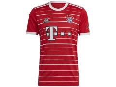 Tričko adidas FC Bayern H Jsy M H39900 pánské
