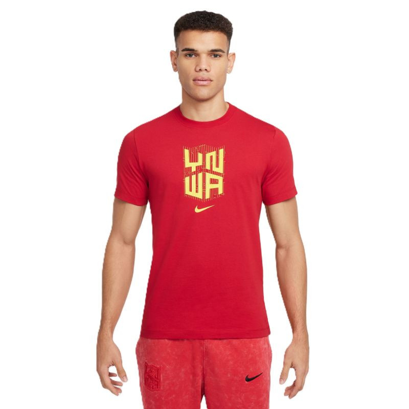 Tričko Nike Liverpool FC M HJ4268-687 pánské