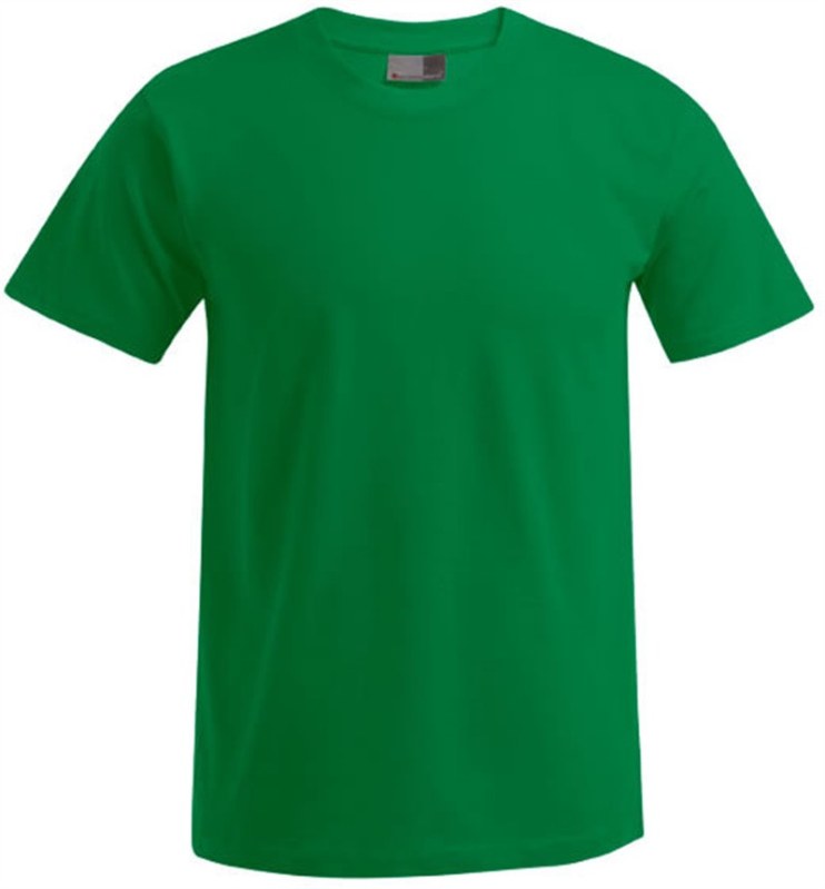 Promodoro 3099 (XS-6XL) Pánské tričko "Premium" 40.3099 kelly green